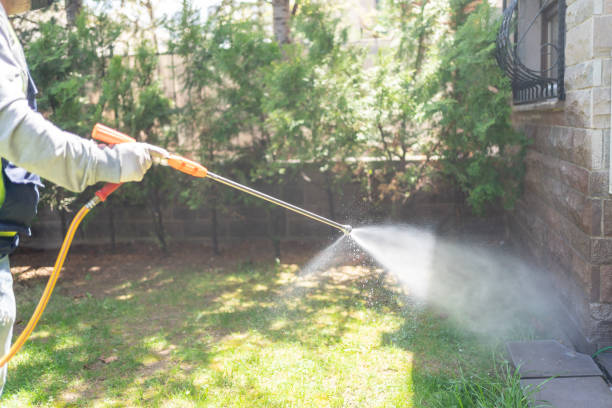 Best Flea Control Services  in Evansville, WI